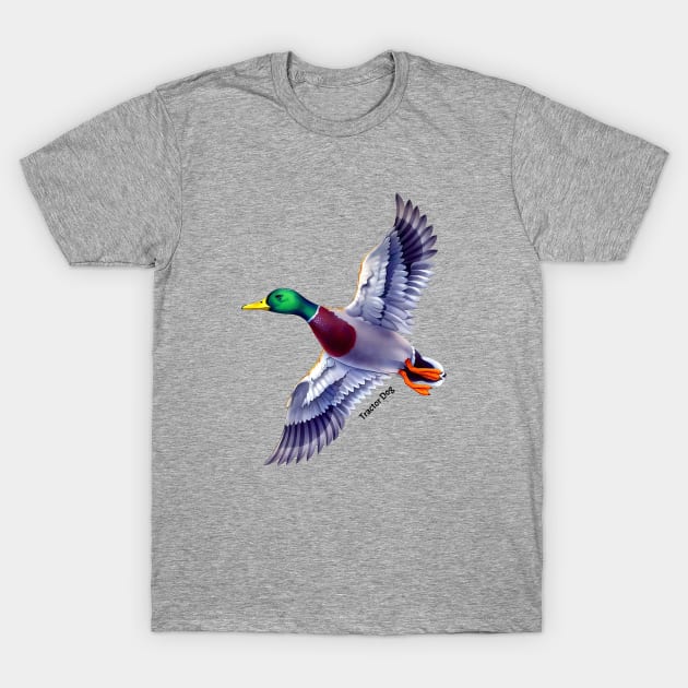 Flying Mallard T-Shirt by tractordog